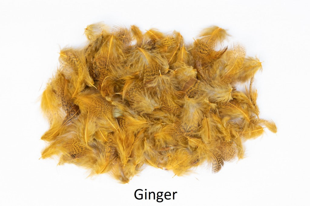 Partridge - loose feathers