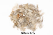 Partridge - loose feathers