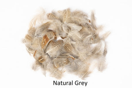 You added <b><u>Partridge - loose feathers</u></b> to basket.