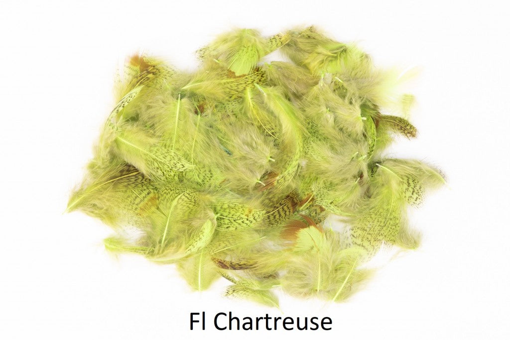 Partridge - loose feathers