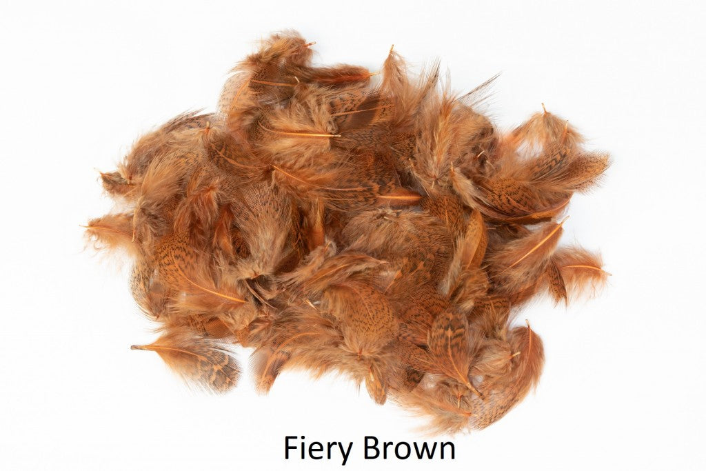 Partridge - loose feathers