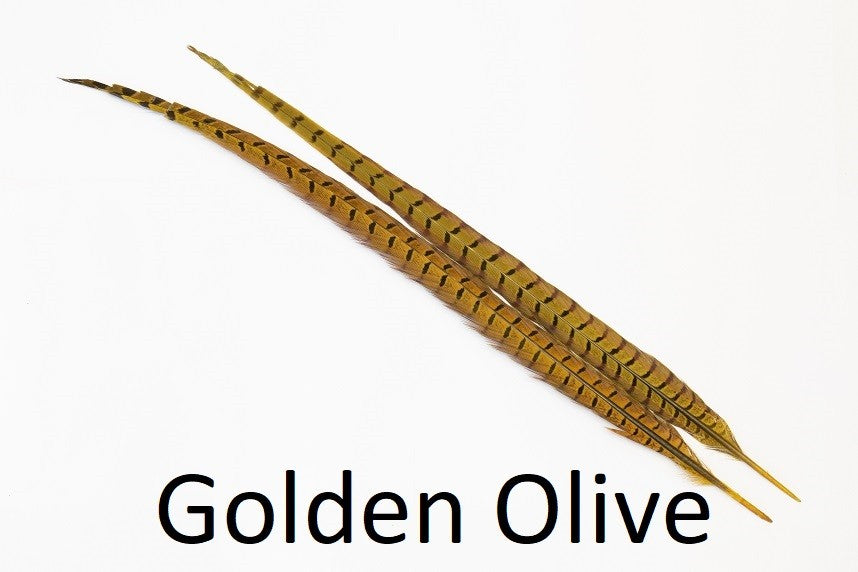 Ringneck Pheasant tail 1 Pair - Olive