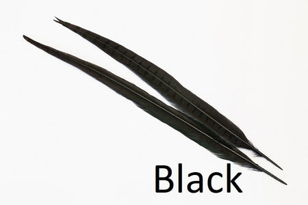 You added <b><u>Ringneck Pheasant tail 1 Pair - Black</u></b> to basket.
