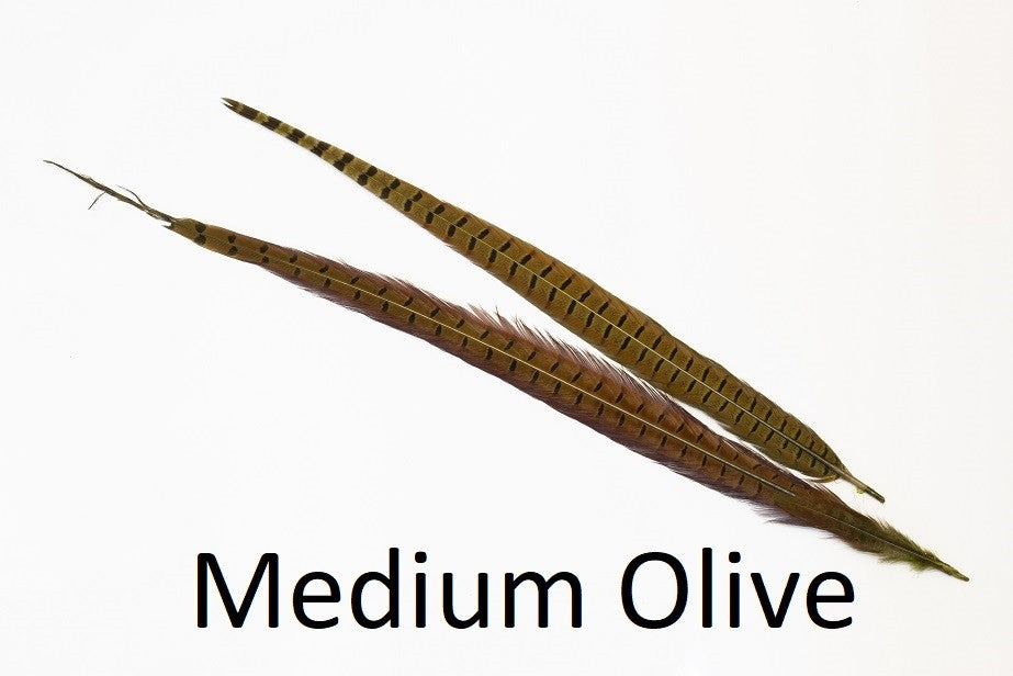 Ringneck Pheasant tail 1 Pair - Olive