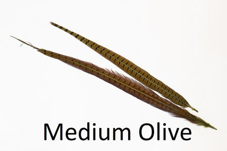 You added <b><u>Ringneck Pheasant tail 1 Pair - Olive</u></b> to basket.