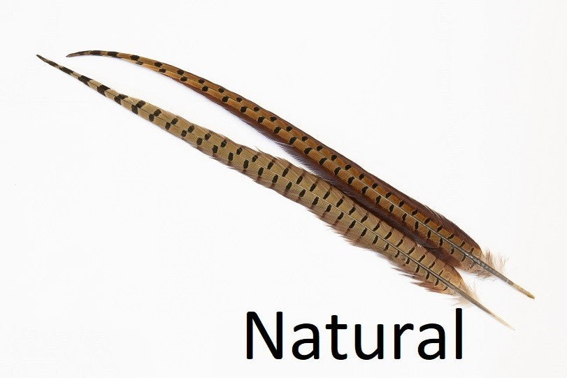 Ringneck Pheasant tail 1 Pair - Natural
