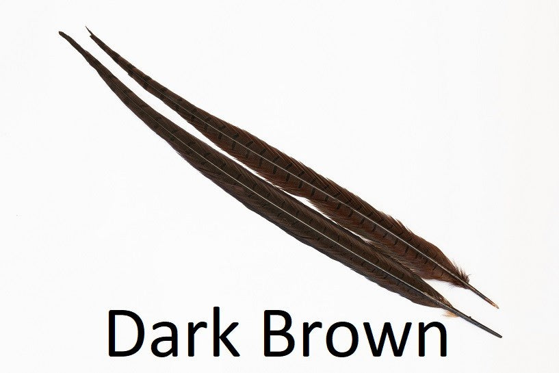 Ringneck Pheasant tail 1 Pair - Chocolate Brown