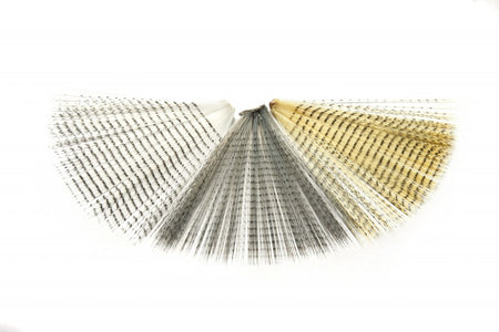 You added <b><u>Fibetts Spinner tails - Barred</u></b> to basket.