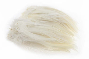 Hackler rooster - White