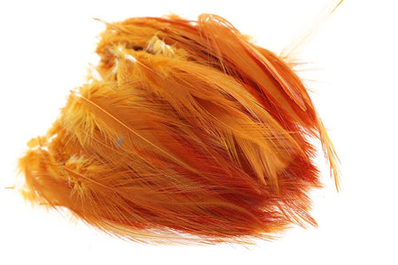 You added <b><u>Hen Hackler - Ginger</u></b> to basket.