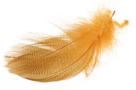 You added <b><u>Mallard Barred Flank - Amber</u></b> to basket.