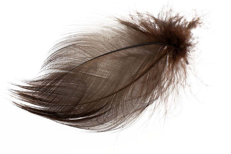 You added <b><u>Mallard Barred Flank - Brown</u></b> to basket.
