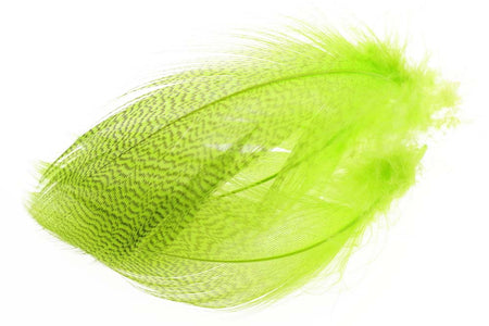 You added <b><u>Mallard Barred Flank - Fluo. Chartreuse</u></b> to basket.