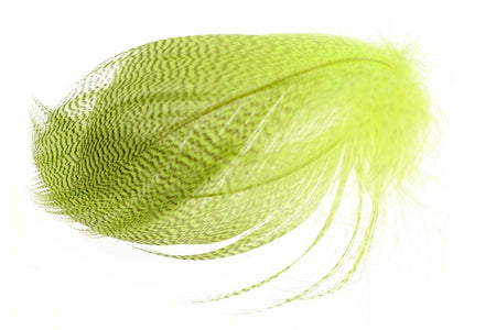 You added <b><u>Mallard Barred Flank - Fluo. Yellow</u></b> to basket.