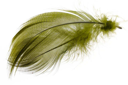 You added <b><u>Mallard Barred Flank - Olive</u></b> to basket.