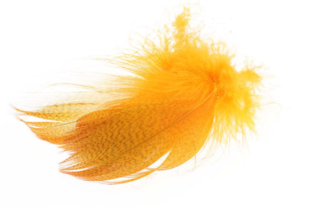 You added <b><u>Mallard Barred Flank - Fluo. Orange</u></b> to basket.