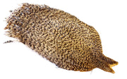 Whiting Coq De Leon - Grizzly dyed Tan