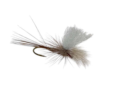 You added <b><u>Baetis Rhodani Dun Str 12 - bound in DK</u></b> to basket.