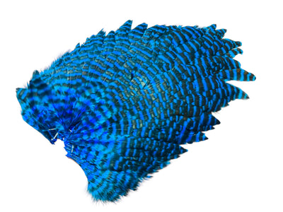 You added <b><u>Futurefly FF Signature Hen Saddle - Grizzly kingfisher Blue</u></b> to basket.