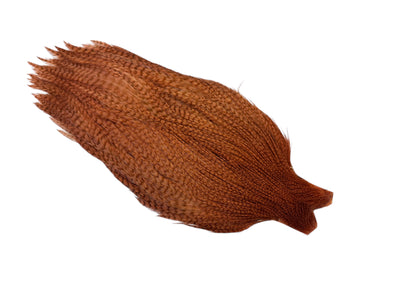 You added <b><u>Ewing #1 Grizzly Cape Bleached Dyed Tan</u></b> to basket.