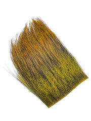 Boar bristles - Black