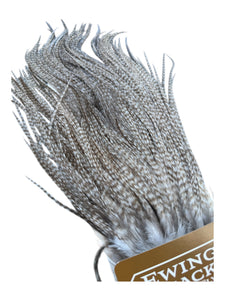You added <b><u>Ewing Special #1 unique Sadel - Ghost barred grizzly 2</u></b> to basket.