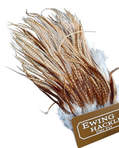 You added <b><u>Ewing Special #1 unique Sadel - Ghost barred Ginger</u></b> to basket.