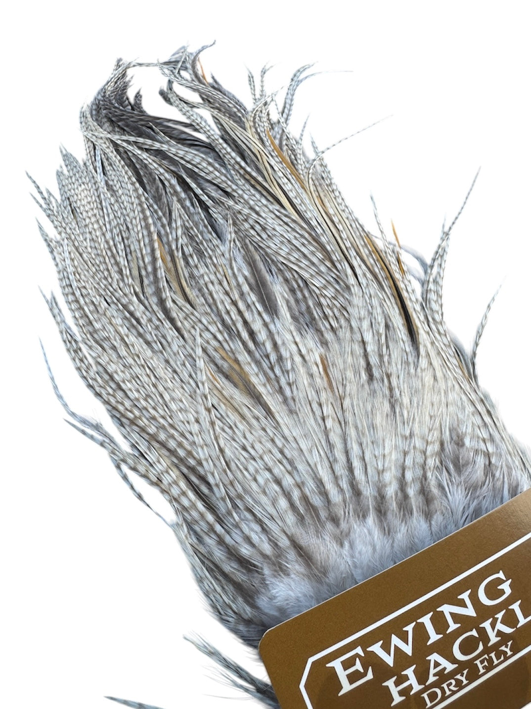 Ewing Special #1 unique Sadel - Ghost barred grizzly 1