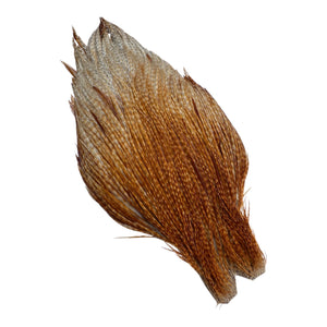 You added <b><u>Ewing Special #1 unique cape - Cree 2</u></b> to basket.