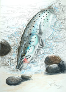 You added <b><u>Thomas Weiergang original A3 - Piglet Seatrout A3 </u></b> to basket.