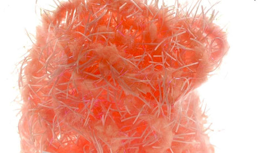 You added <b><u>Creeper chenille - UV Prawn</u></b> to basket.