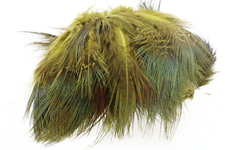 You added <b><u>Ringneck Rump Hackle - Golden Yellow</u></b> to basket.