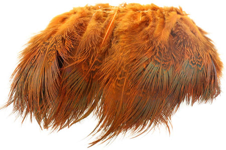 You added <b><u>Ringneck Rump Hackle - Orange</u></b> to basket.