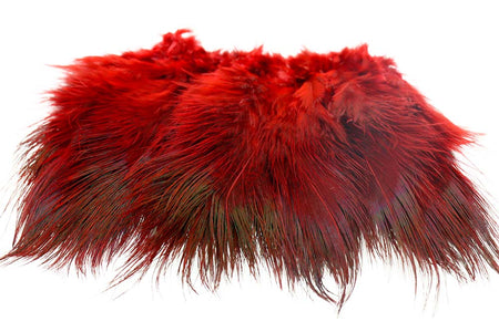 You added <b><u>Ringneck Rump Hackle - Red</u></b> to basket.