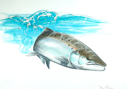 You added <b><u>Thomas Weiergang original A3 - Salmon Study A3</u></b> to basket.
