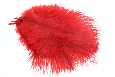 You added <b><u>Micro Ostrich Spey Plumes - Red</u></b> to basket.