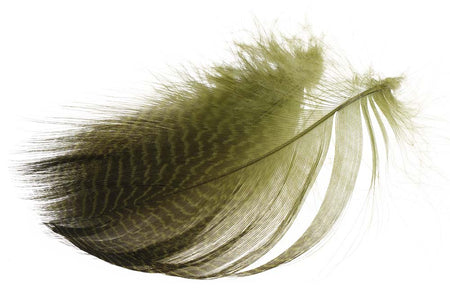 You added <b><u>Teal Flank Feathers - Olive</u></b> to basket.