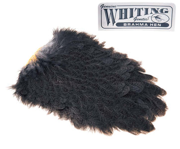 You added <b><u>Whiting Brahma Saddle - Mottled Grey</u></b> to basket.