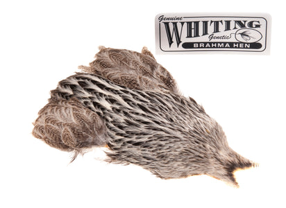 You added <b><u>Whiting Brahma - Cream Badger</u></b> to basket.