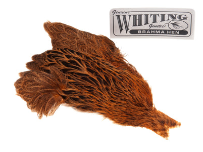 You added <b><u>Whiting Brahma - Golden Brown</u></b> to basket.