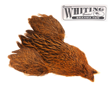 You added <b><u>Whiting Brahma - March Brown</u></b> to basket.