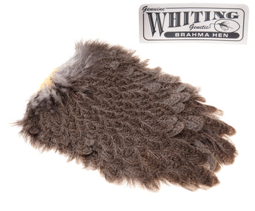 You added <b><u>Whiting Brahma Saddle - Mottled Grey</u></b> to basket.