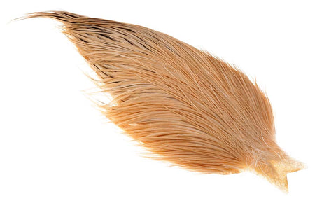 You added <b><u>(Bronze Grade) Whiting Red label Dryfly - Light Ginger</u></b> to basket.