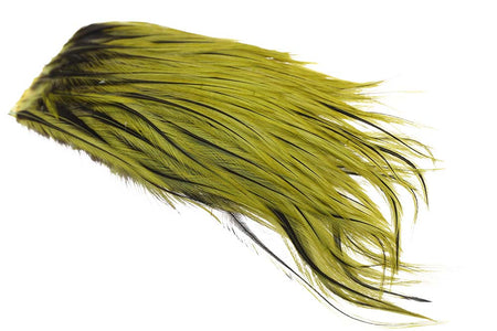 You added <b><u>Whiting Bugger Pack - Olive Badger</u></b> to basket.