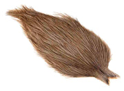 Whiting Coq de leon Cape - Medium Pardo