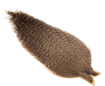 You added <b><u>Whiting Coq de leon Cape - Grizzly Pardo</u></b> to basket.