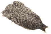 Whiting Coq de leon Hen Cape - Unique Variant