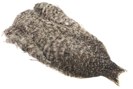 You added <b><u>Whiting Coq de leon Hen Cape - Unique Variant</u></b> to basket.