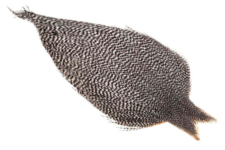 You added <b><u>(Pro Grade) Whiting Red Label Dryfly - Grizzly</u></b> to basket.