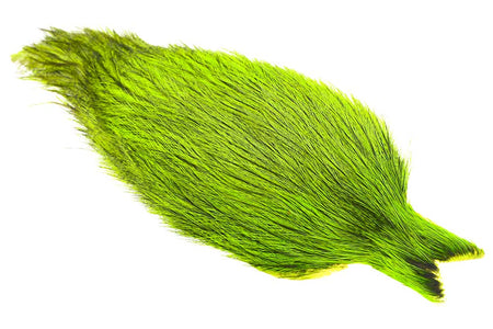 You added <b><u>Whiting Coq de leon Cape - Badger Chartreuse</u></b> to basket.